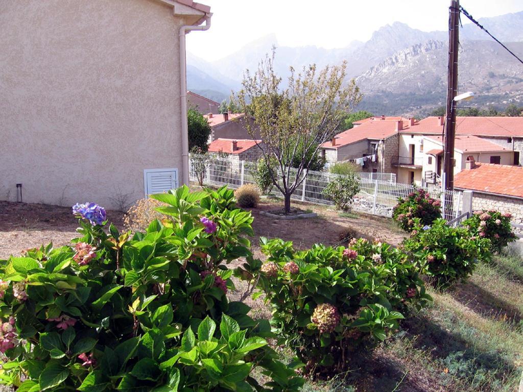 Terrasse De Malbeccu Villa Casamaccioli Room photo
